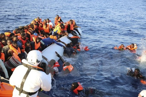 Премии мира ЮНЕСКО удостоены лица за вклад в дело спасения мигрантов и беженцев - ảnh 1